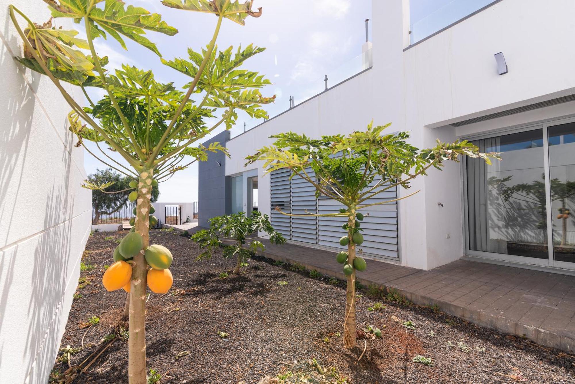 House Near The Beach W Sea View Arico Exterior foto